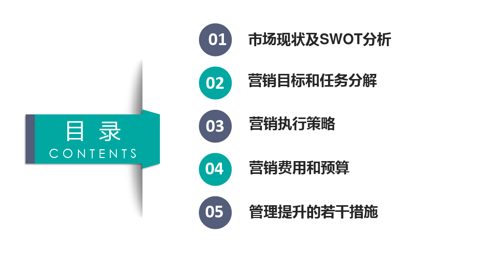 健康产品营销方案 策略、执行与评估